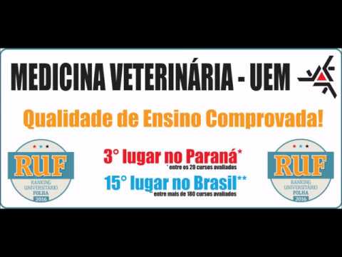 Medicina Veterinária UEM.mp4