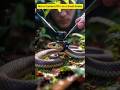 Micro-Camera POV on a Small Snake (Scientific Research Footage) #pov #shorts #viral