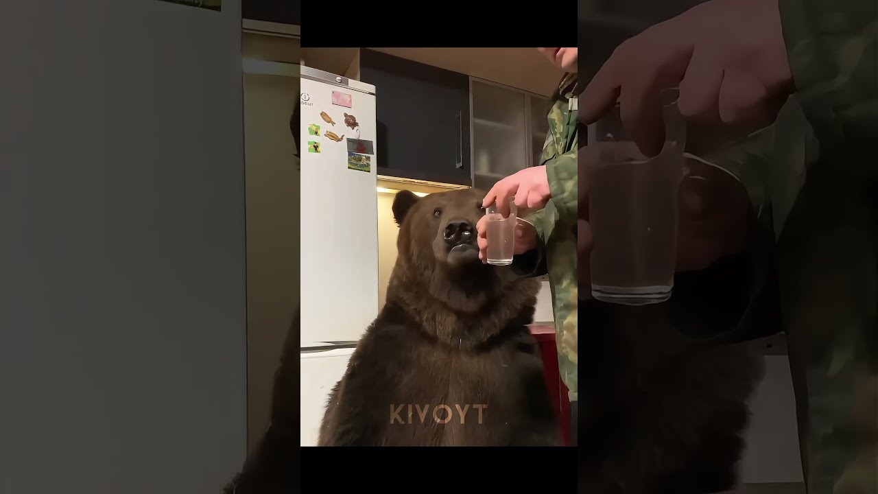 The Best Pets 