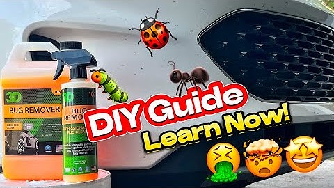 How to Remove Bugs From Car (Easy, Safe & FAST!)
