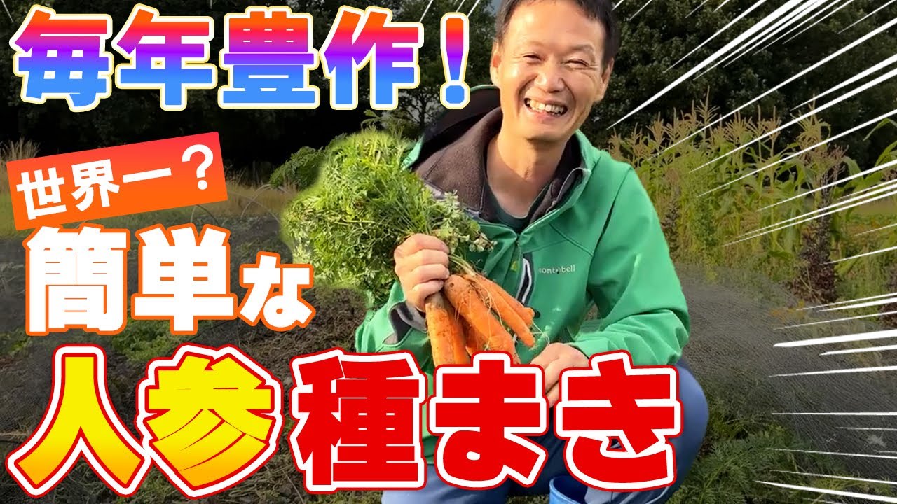 【自然栽培】種まき無しで、無限に取れるチャードと種取紹介！