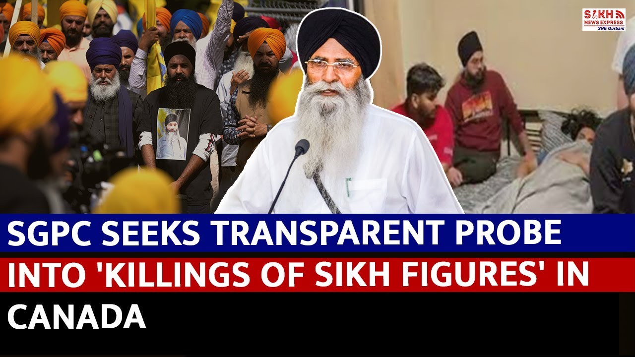 SGPC Kabelkämme Transparent – Für PC-Netzteil-Kabelmanagement – Inkl. 8-polig, 24-polig & 12vhpwr Kämme
