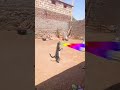 Tigar Music Dance Remix Amapiano Funny Dj Munnadj Newmusicrelease Comedy Mor Tigar Music Dance Remix Amapiano Funny Dj Munnadj Newmusicrelease Comedy Mor