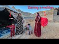 When Zuleikha Saved The Life Of A Single Widowed Mother 