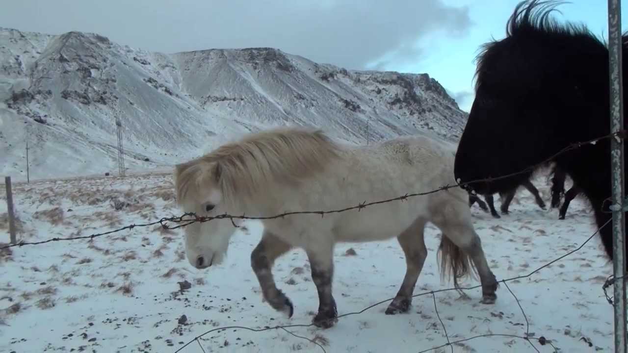 Iceland winter 2013 on the road