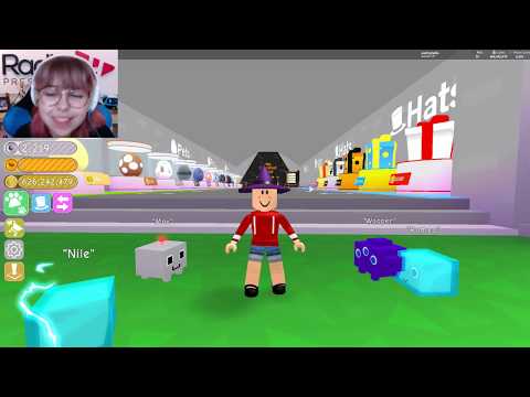 Roblox Pet Simulator How To Get Better Pets Glitch Extremely