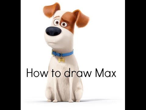 How to draw Max from The secret life of pets - YouTube