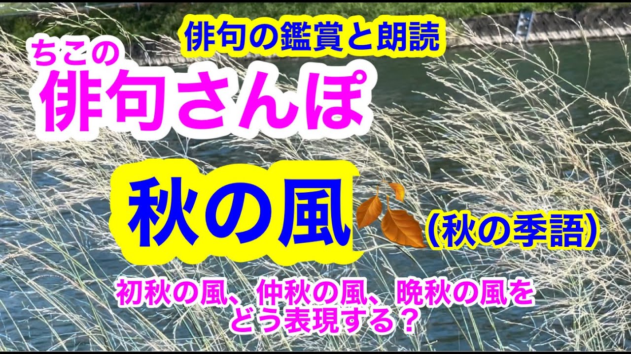 俳句 風の重さ _ 俳句 風死す | 今日の俳句 若葉風 風車の花 なんじゃもんじゃ – YNXTNQ