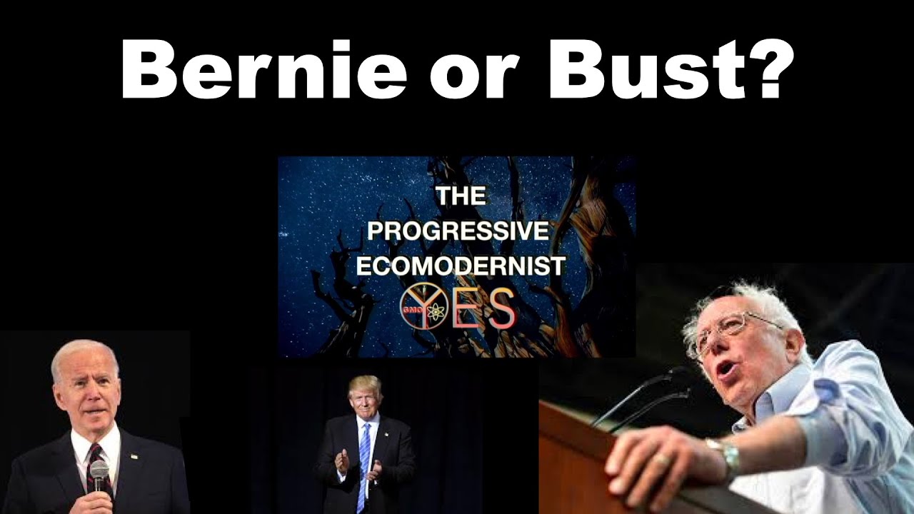 Bernie or Bust?