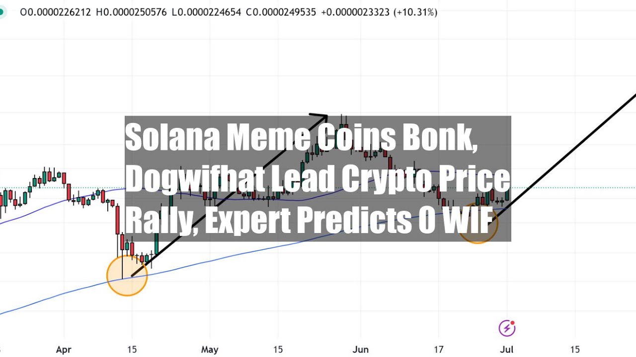 Solana Meme Coins Bonk, Dogwifhat Lead Crypto Price Rally, Expert - YouTube