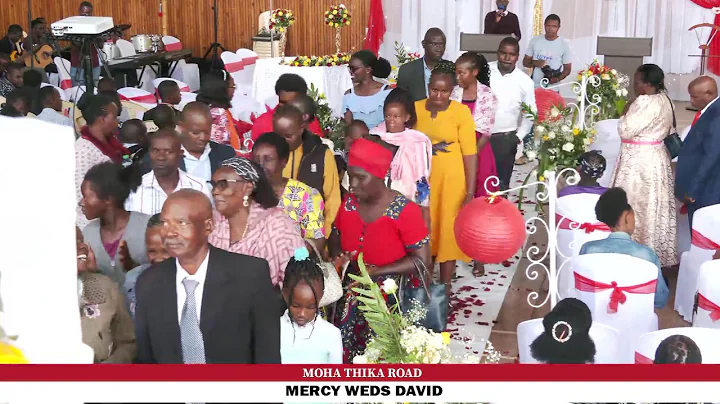 Mercy Weds David
