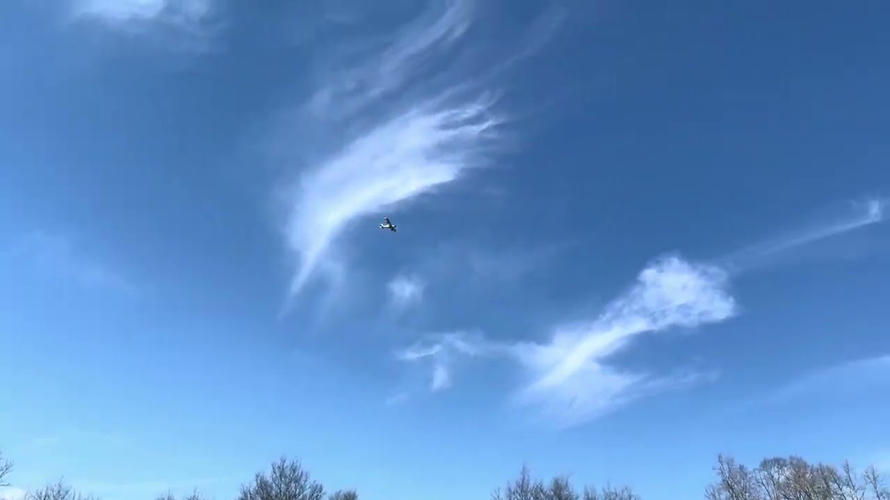 E-flite Turbo Timber Evolution UMX, Park Flight and Review!