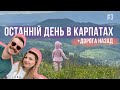 Останній день в КАРПАТАХ 🥺 ОФФРОАД, Захар Беркут, висока кухня, дорога Славсько-Київ. Карпати №3