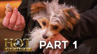 Download lagu Teacup Trouble | Part 1 | Hot Bench