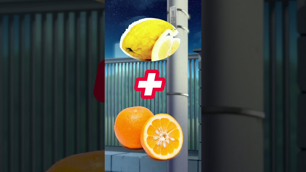 Life Gave Us The Way To Lemon