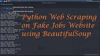 Fake Jobs | Python Web Scraping - Leisure Codes