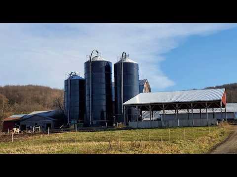 50 Years On The Farm