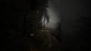 Mevla Görelim Neyler, Neylerse Güzel Eyler.