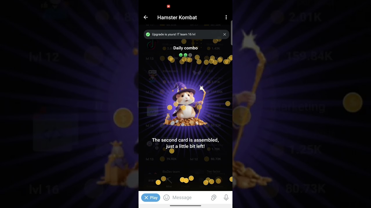 17 June hamster kombat combo card 