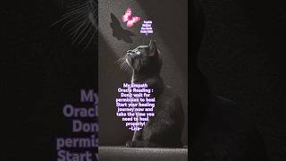 My Empath Oracle Reading! 🐈⬛🦋