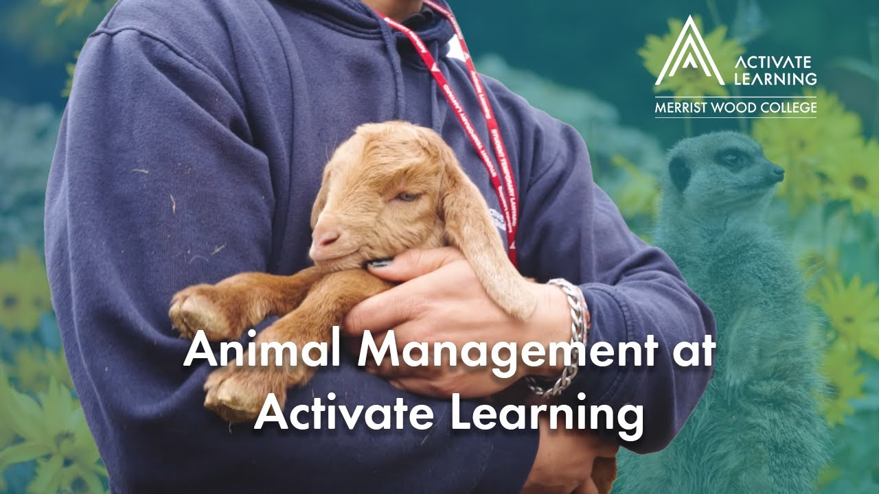 Animal Management at Activate Learning