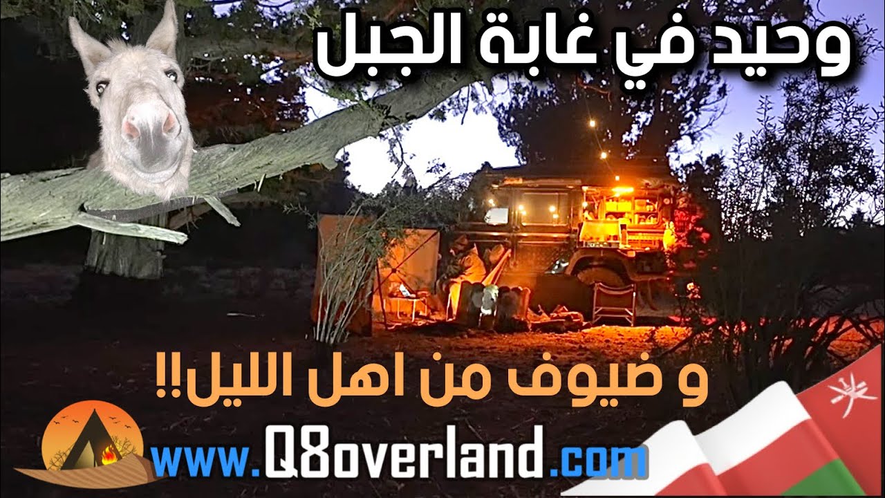 وحيد في ظلام غابات العلعلان في عمان و ضيوف من عالم الليل!