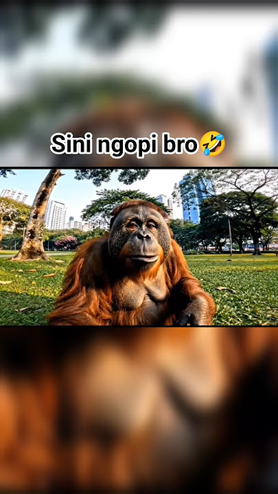 seekor monyet sedang ngopi🤣 #shorts #shortvideo #ai #aiveo3 #viral #viralvideo #video