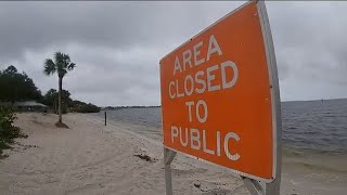 County cleans up fish kill at Port Charlotte Beach Park