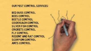 Pest Control Frankston | Call 8376 9850 for a Frankston Pest Control Svcs.
