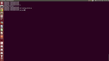 Mininet Topology Assignment