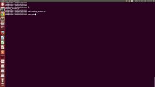 Mininet Topology Assignment