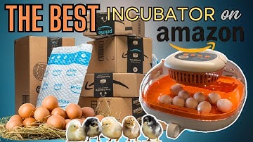 De BESTE broedmachine op Amazon! Kippeneieren van begin tot eind uitbroeden: perfect voor kleine ...