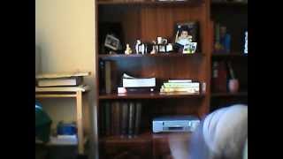 Harlem Shake Kickass (FAIL)