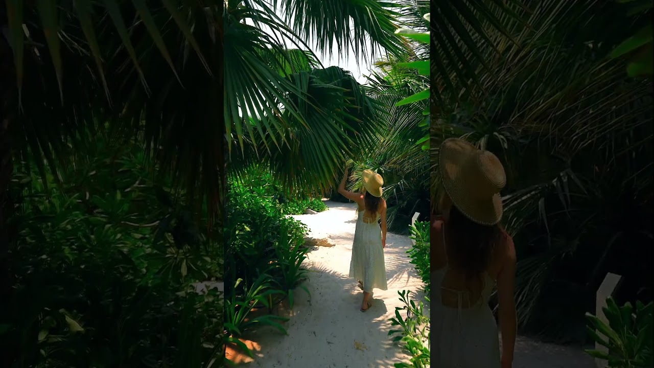 Tropical State of Mind  