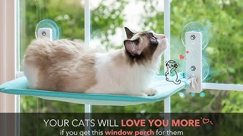 MewooFun Foldable Cat Window Perch Cat Window Bed