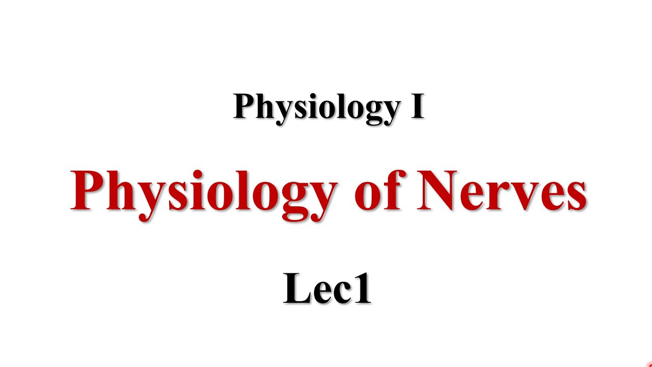 Physiology Of Nerve Lec1 Physiology I