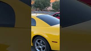 Mustang Meetup