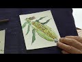 絵手紙入門　楽しく簡単に四季を描こう 朝顔とトウモロコシ