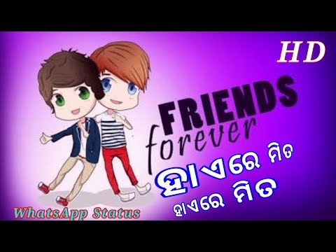 Hai Re Mita Odia Friendship Song For Whatsapp Status