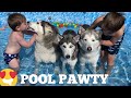 Huskies & Kids Have A Pool Party!! [CUTEST VIDEO!!]