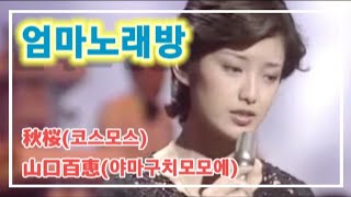 [샛길(日本語공부). 15] 秋桜(コスモス) 코스모스 cosmos / 山口百恵(야마구치모모에 やまぐち ももえ Yamaguchi momoe) @mrsyou