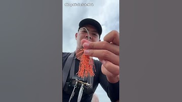 Câu chuyện về hành trình đi tìm lóc bông 2X #câulure #cầncâulure #lkhoà