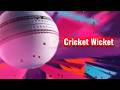 Cricket Wicket ! The Power Show with Muhammad Sumair | Promo @internationalartssociety
