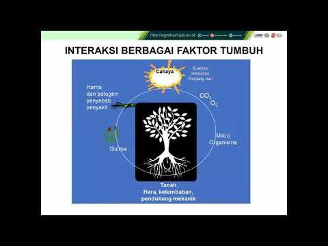 Video: Memperkuat Tanaman. Bagian 1