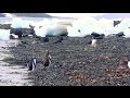 Good News visita Antártica, parte 1