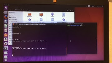 SPECTRE ATTACK DETECTION