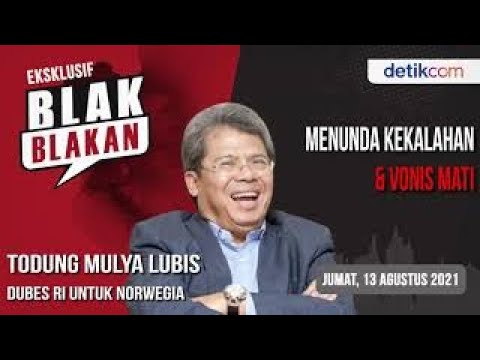 Blak-blakan Todung Mulya Lubis, Tolak Juliari Divonis Mati