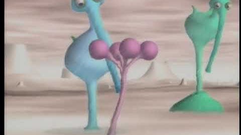 Computer Animation Experience (2001)