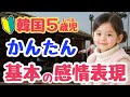 【シニア・韓国語初心者】韓国人がよく使う基本の感情表現フレーズ｜初心者・独学・聞き流し・超入門におすすめ