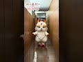 山神さんお披露目動画を公開！ TVアニメ『神の庭付き楠木邸』毎週土曜深夜1時30分より放送中　#神の庭付き楠木邸 #毎週土曜放送中 #アニメ